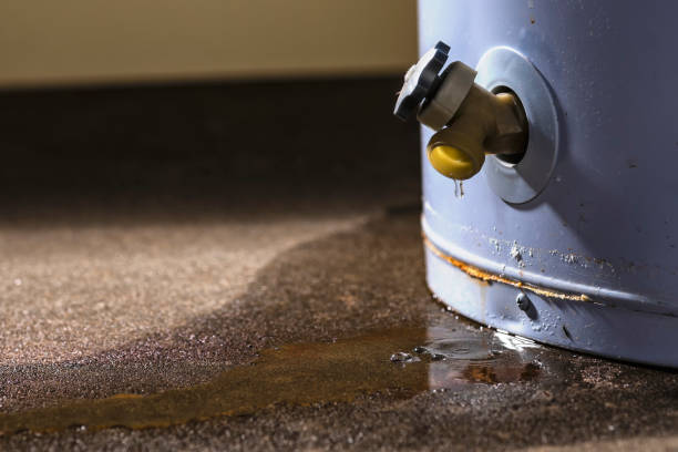 Best Flooded house restoration  in Buckhall, VA