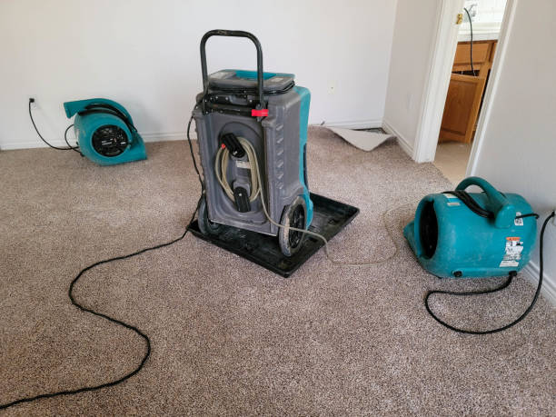 Best Water damage restoration near me  in Buckhall, VA