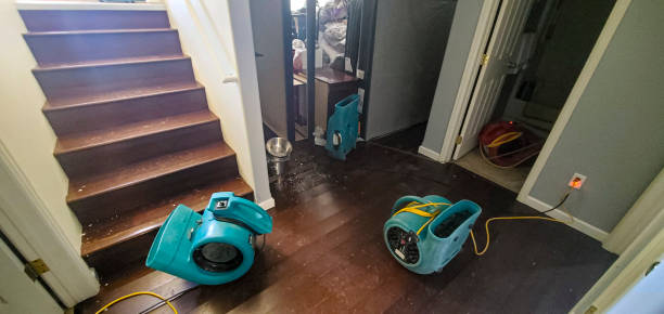 Best Professional water damage repair  in Buckhall, VA