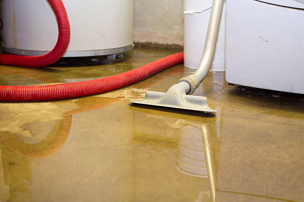 Best Commercial water damage restoration  in Buckhall, VA