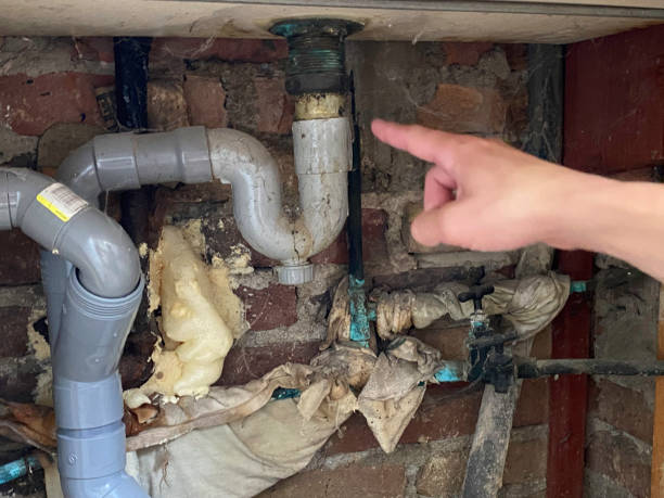 Best Ceiling water damage repair  in Buckhall, VA
