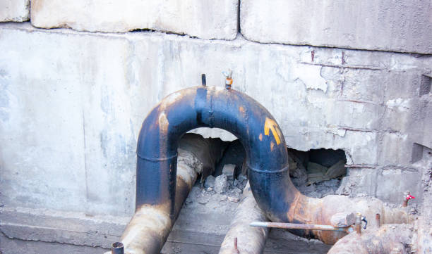 Best Flood damage cleanup  in Buckhall, VA