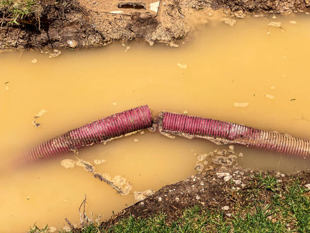 Best Water damage contractors near me  in Buckhall, VA