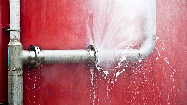 Best Water damage mitigation services  in Buckhall, VA